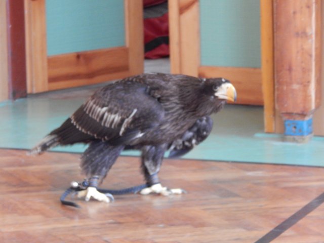 dscn3059