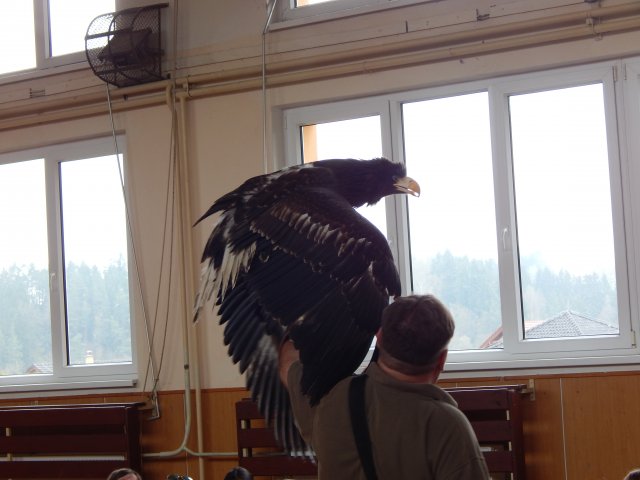 dscn3070