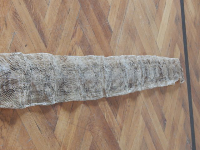 dscn3102