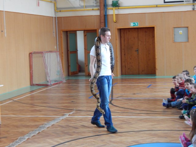 dscn3124
