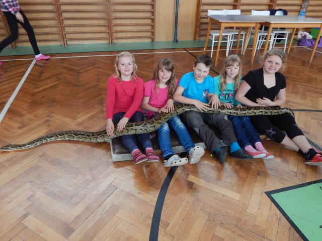 dscn3171