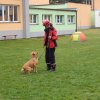 dscn3215