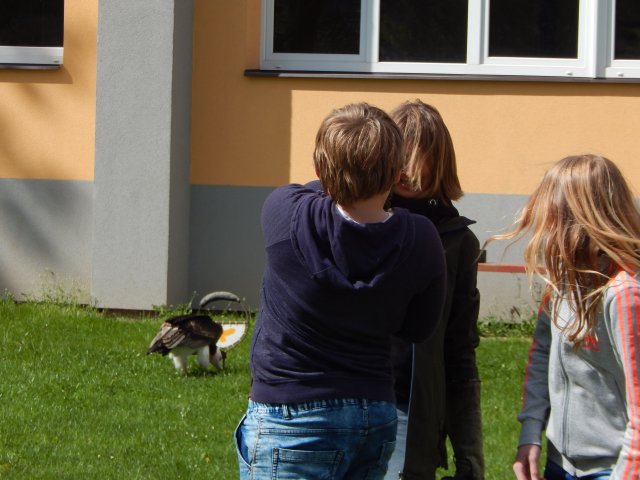 dscn0022