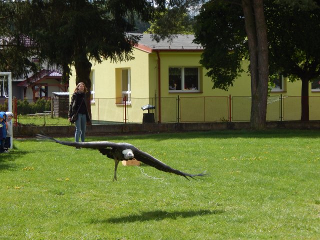dscn0062