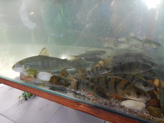 dscn9973