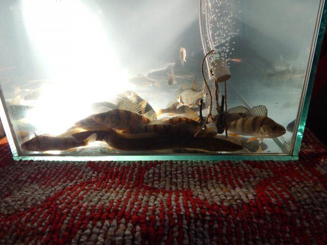 dscn9974