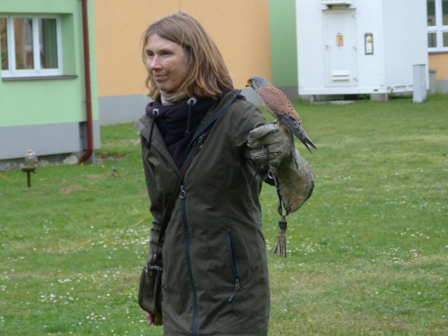 p1100306