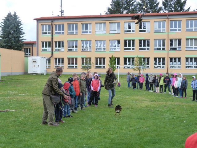 p1100315