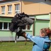 dscn0069