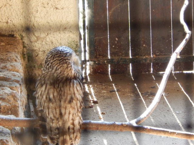 dscn4235
