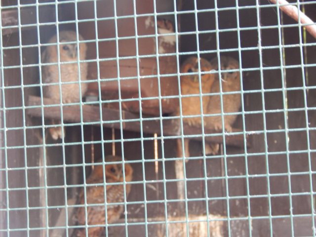 dscn4272