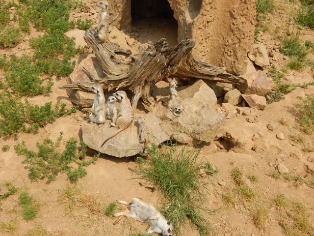 dscn4328