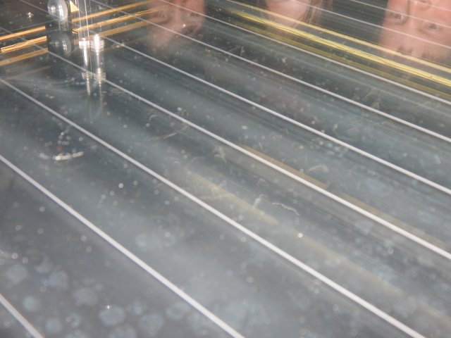 dscn3379