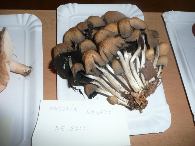 p1020843