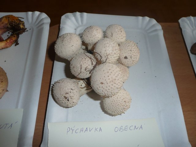 p1020844