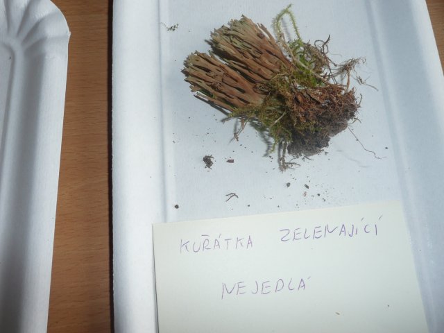 p1020846