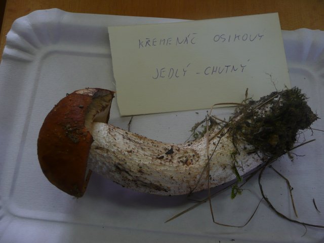 p1020867