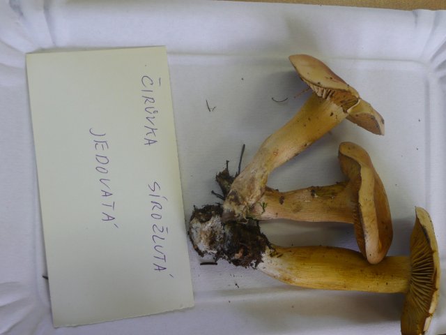 p1020874
