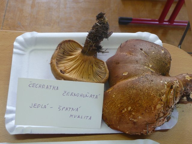 p1020883