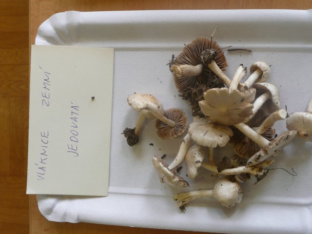 p1020890