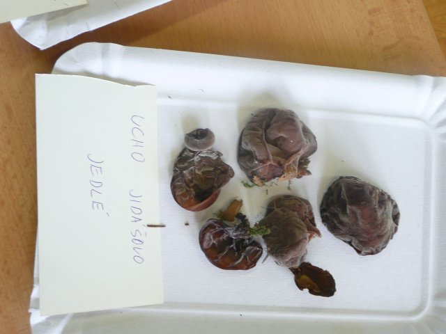 p1020891