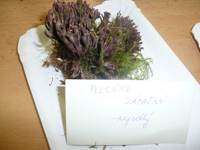 p1020899