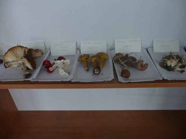 p1020916