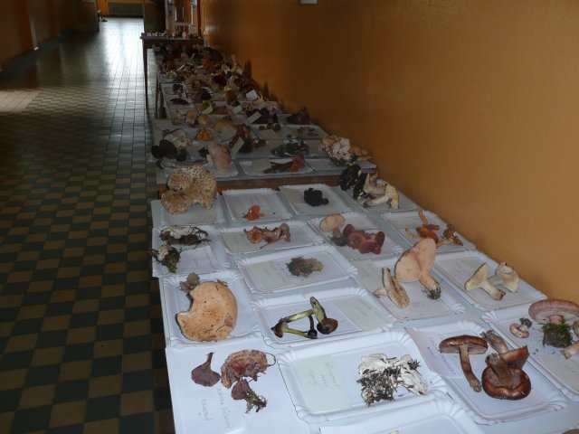 p1020921