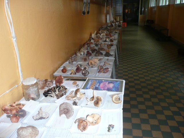 p1020923