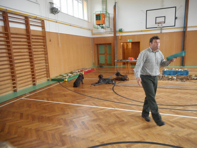 dscn0248