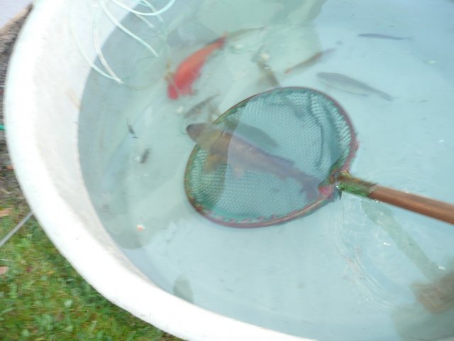 p1050079