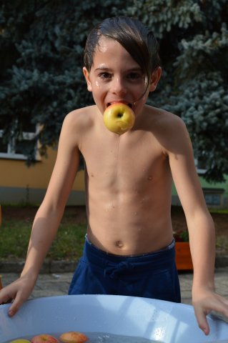 dsc_0147