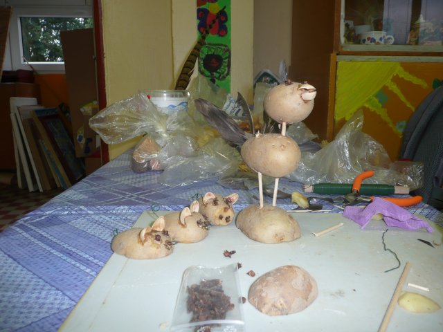 p1030079