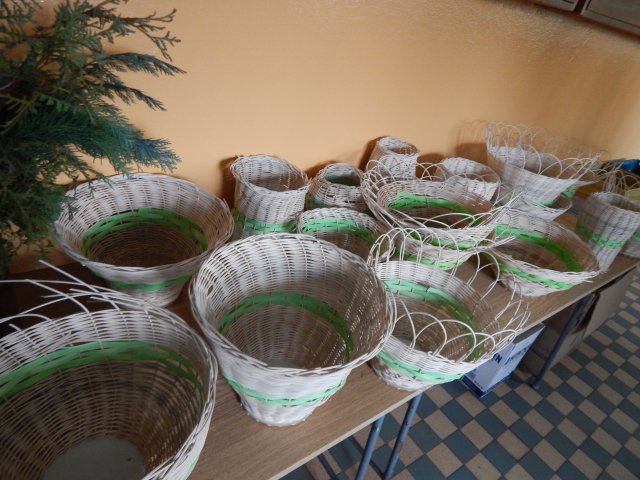 dscn7000