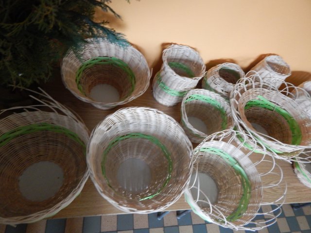 dscn7002