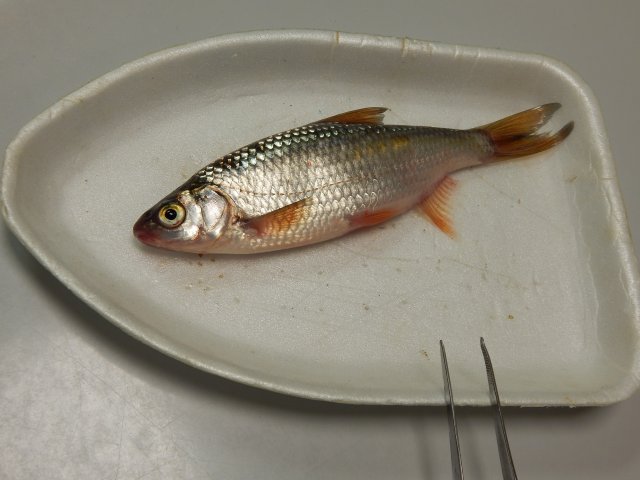 dscn9514