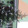 dscn8546