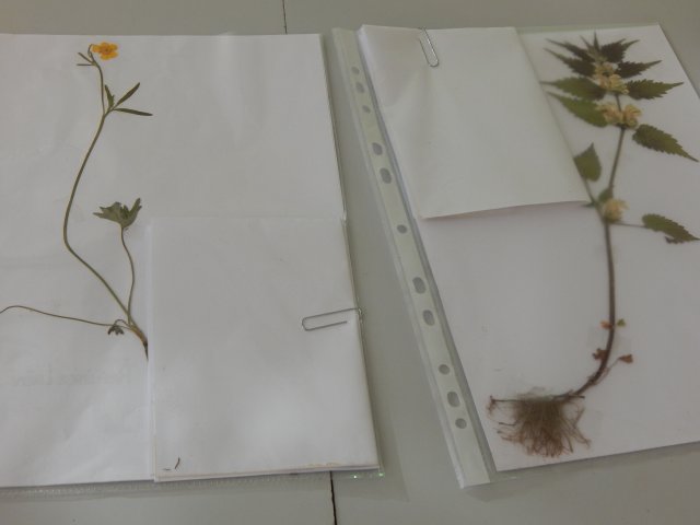 dscn8774