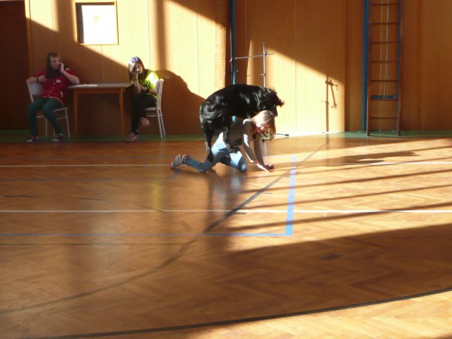 p1050923