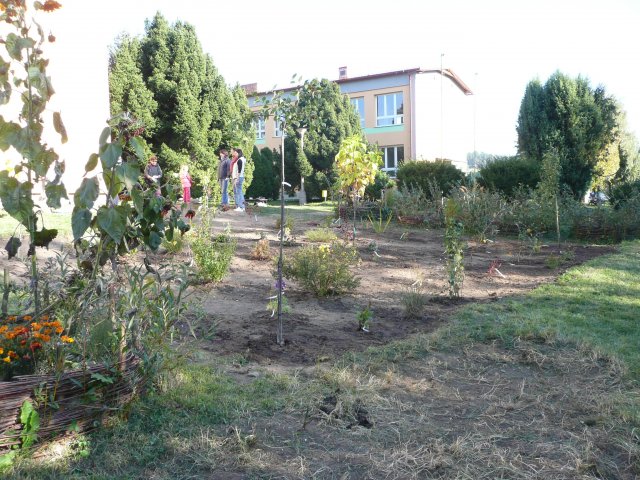 p1040987