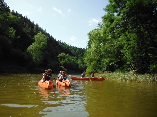 dscf2467