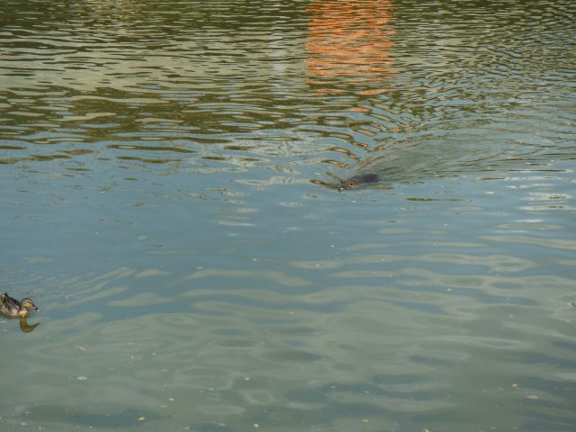 dscf2560