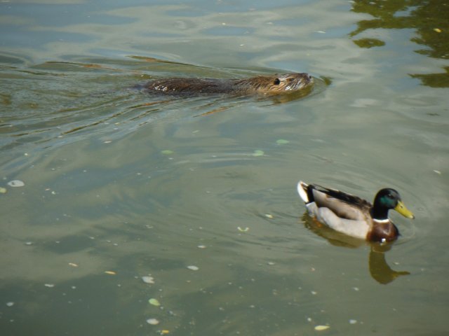 dscf2562