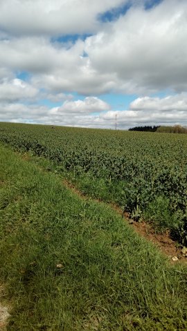 img_20170502_110611