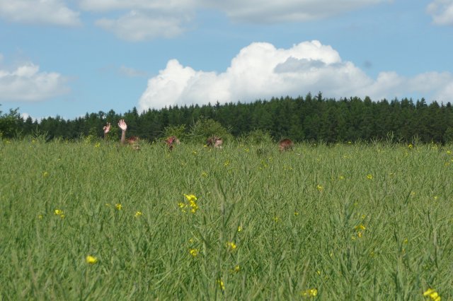 p1070644