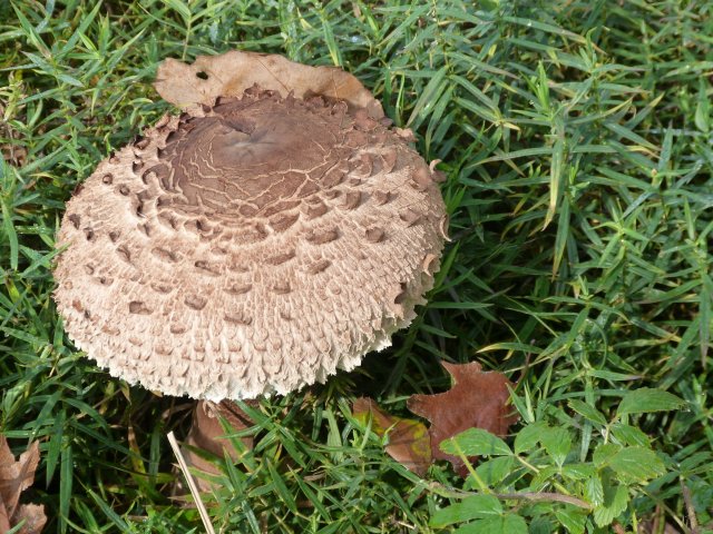 p1110662