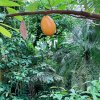 img_1694