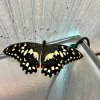 img_1695