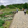 img_1703