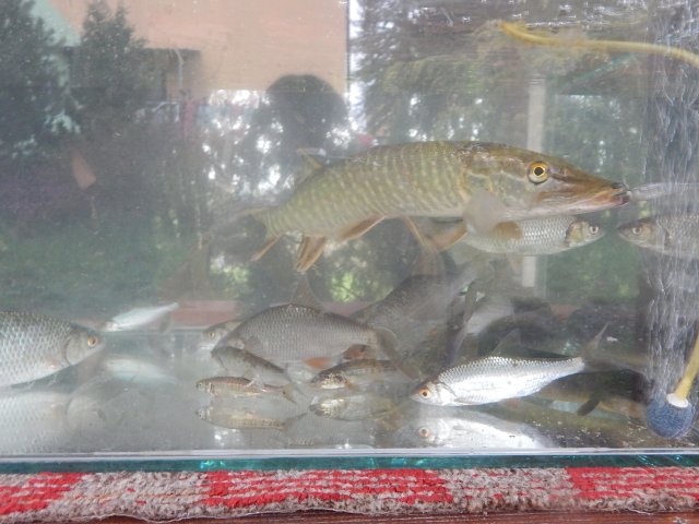 dscn0340